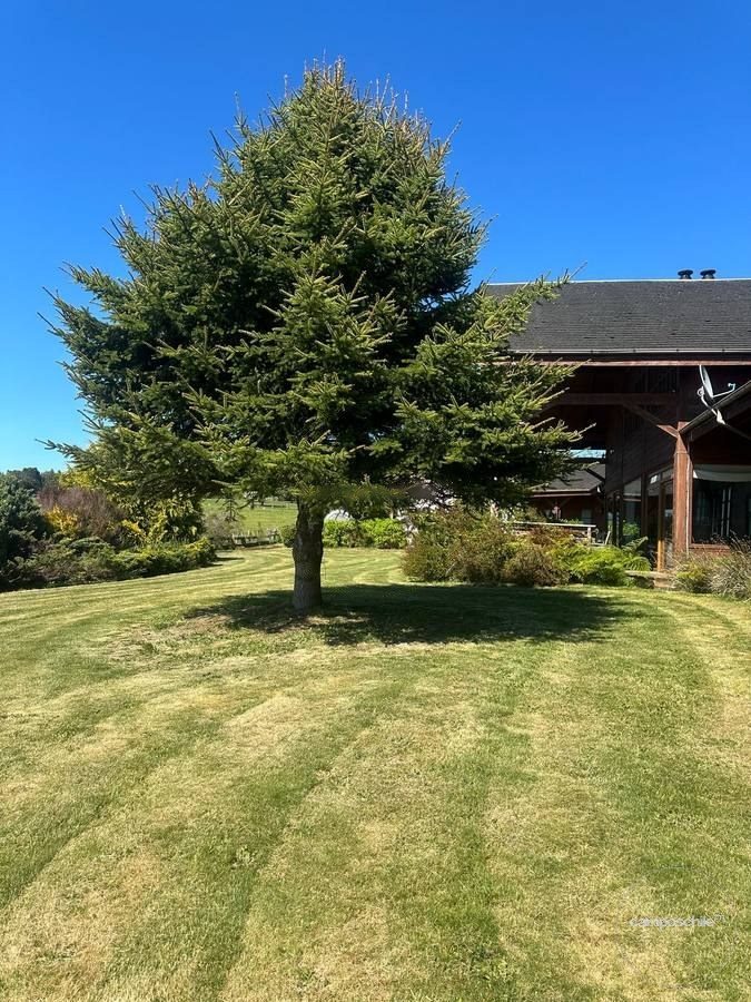 Campo en venta en Fresia — foto 3