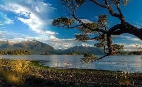 Campo en venta en Aysén — foto 8