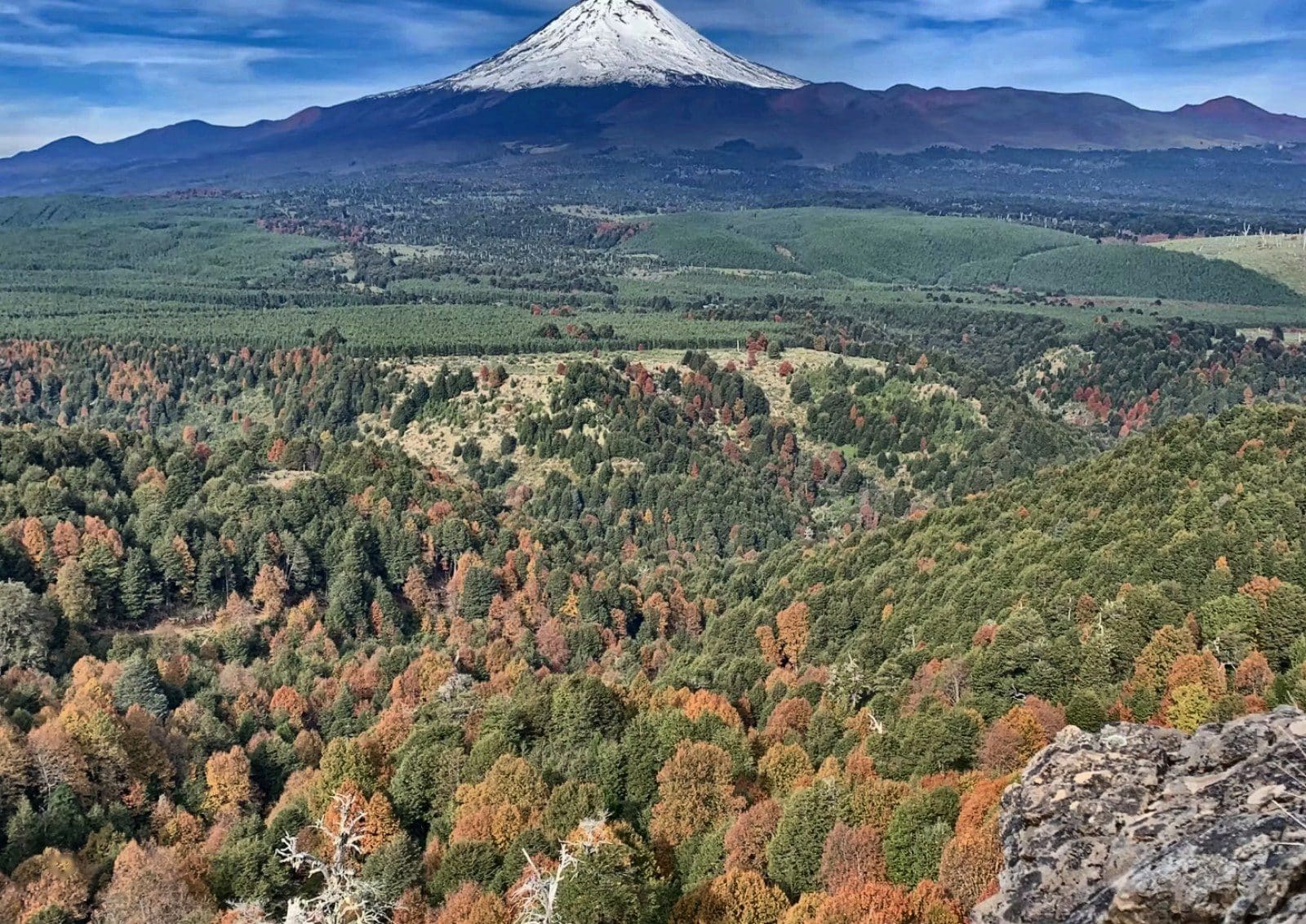 Parcela en venta en Vilcún — foto 1