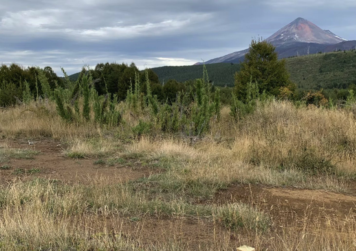Parcela en venta en Vilcún — foto 8
