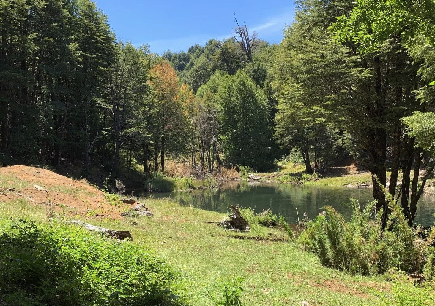 Parcela en venta en Vilcún — foto 9