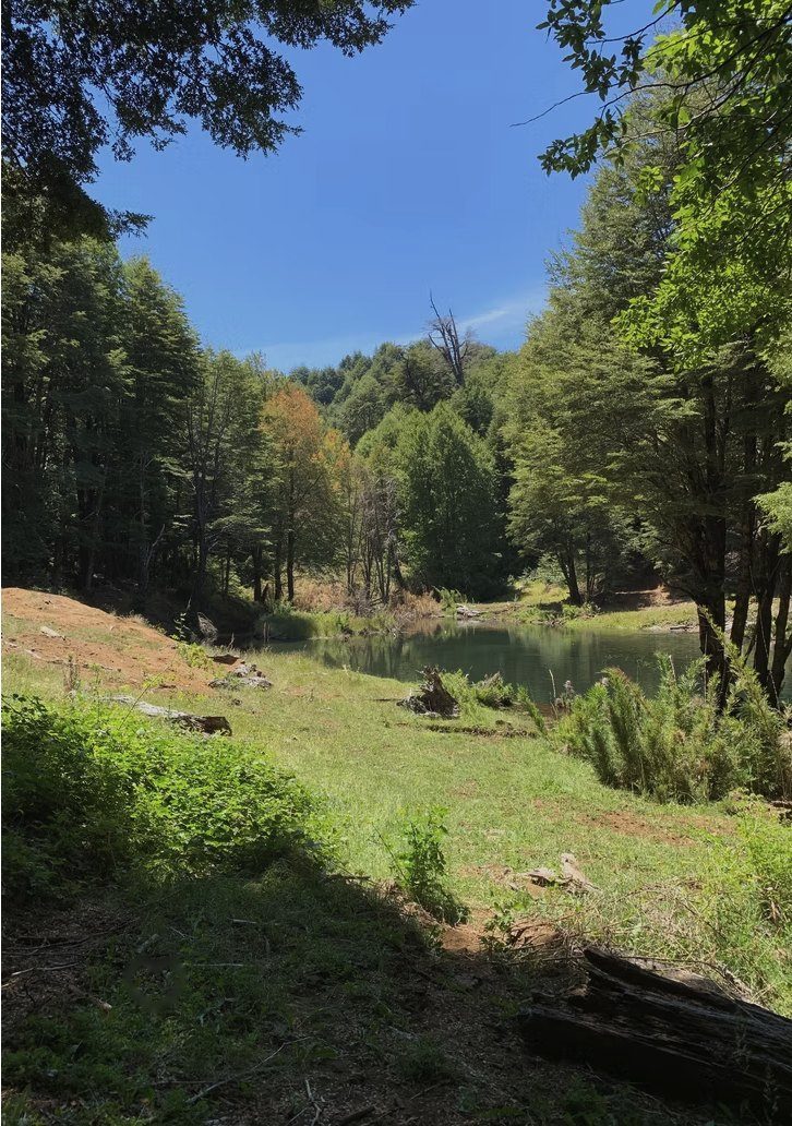 Parcela en venta en Vilcún — foto 10