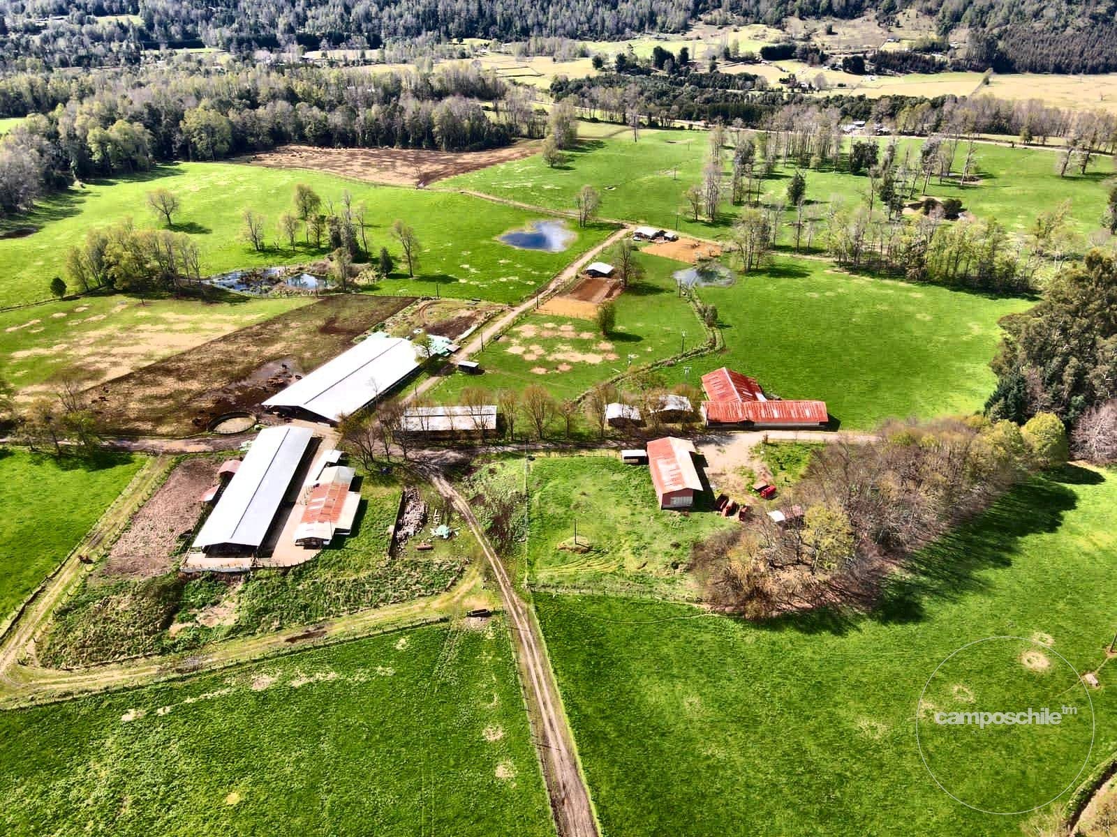 Campo en venta en Panguipulli — foto 1