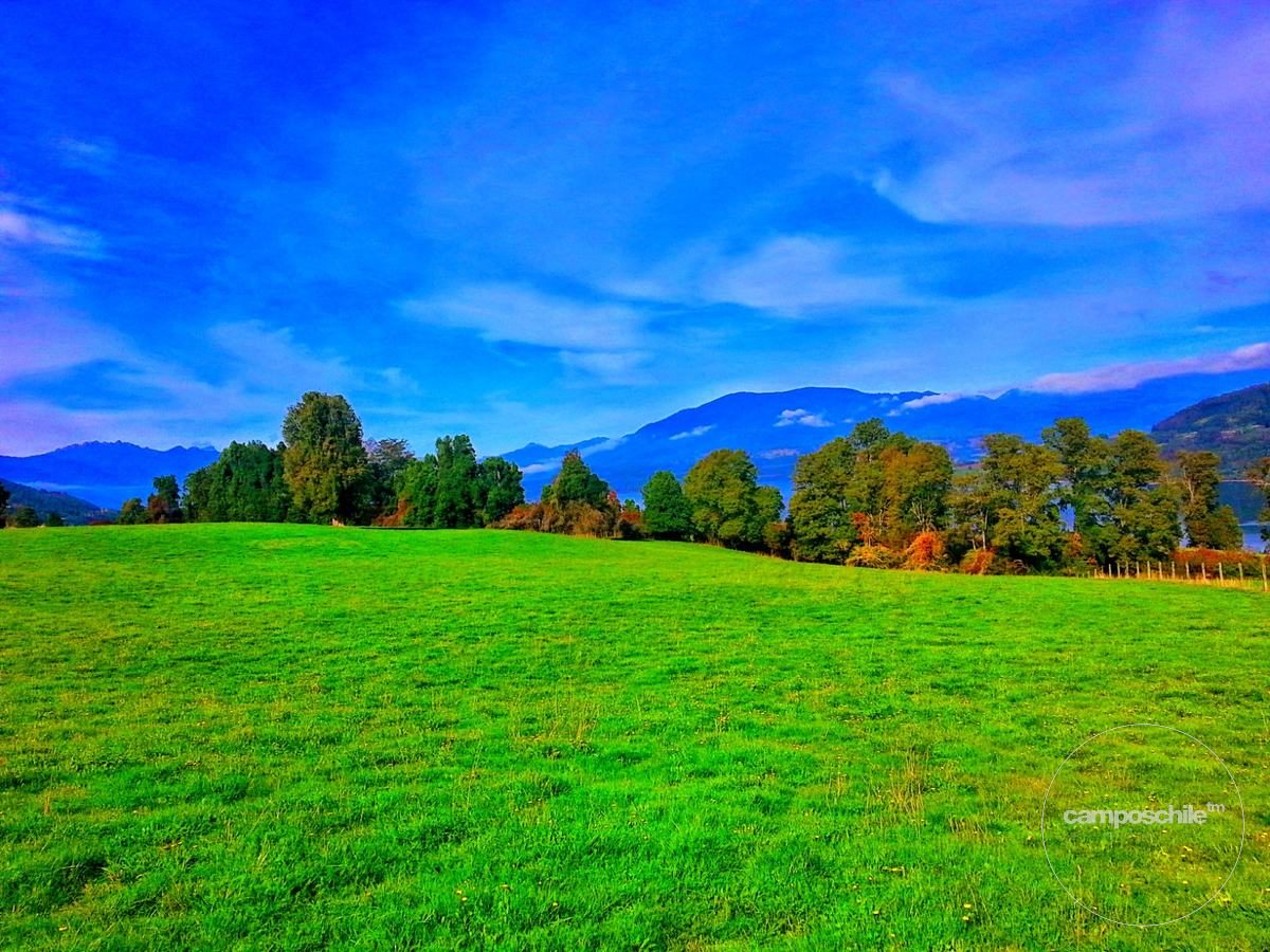 Campo en venta en Panguipulli — foto 2