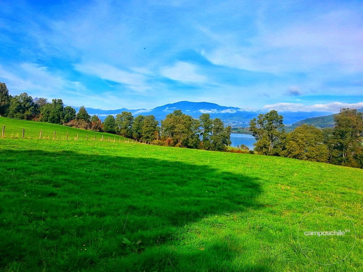 Campo en venta en Panguipulli — foto 3
