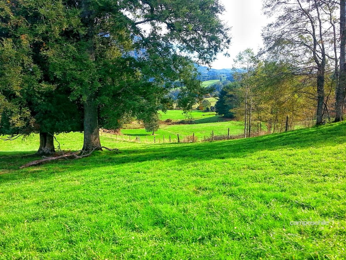 Campo en venta en Panguipulli — foto 4