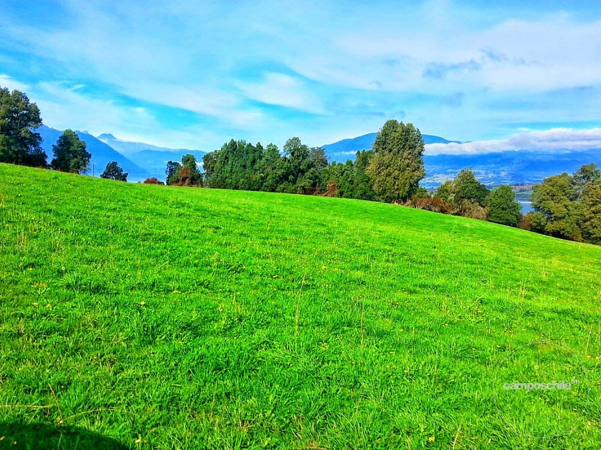 Campo en venta en Panguipulli — foto 6