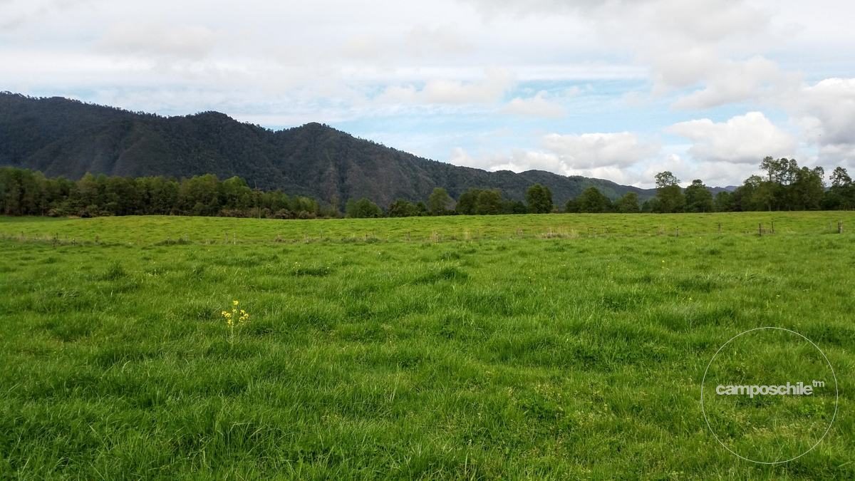 Campo en venta en Panguipulli — foto 7