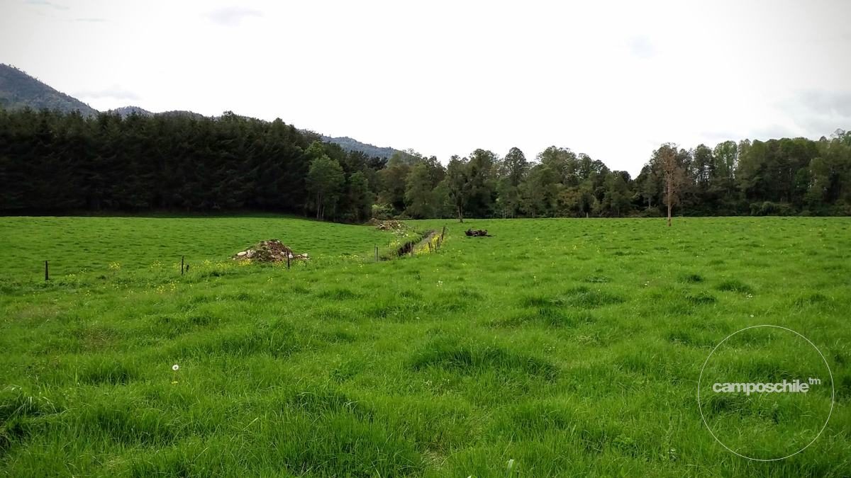 Campo en venta en Panguipulli — foto 9