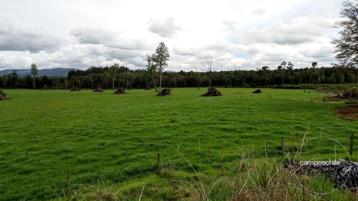 Campo en venta en Panguipulli — foto 10
