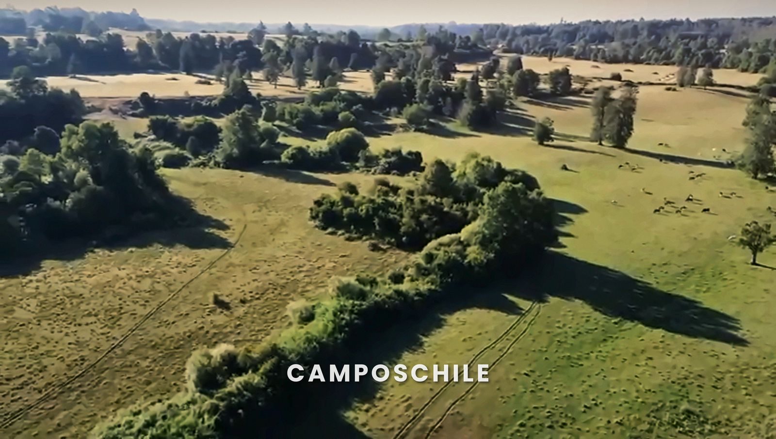 Campo en venta en Osorno — foto 4