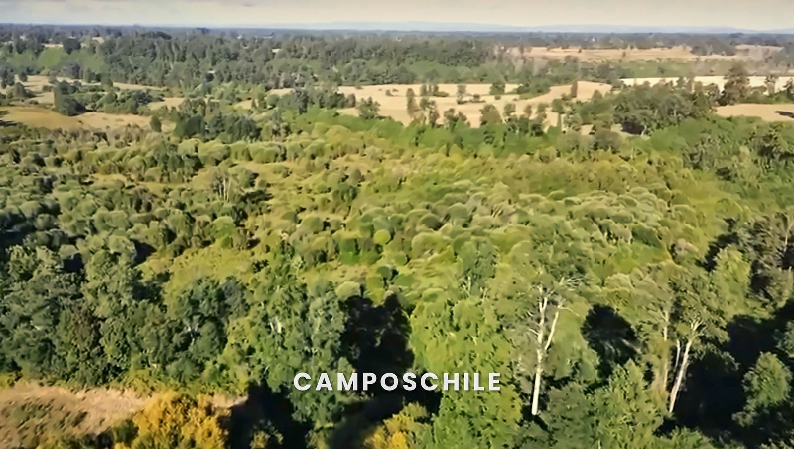 Campo en venta en Osorno — foto 7