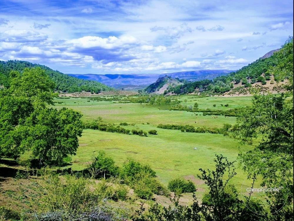 Campo en venta en Lonquimay — foto 3