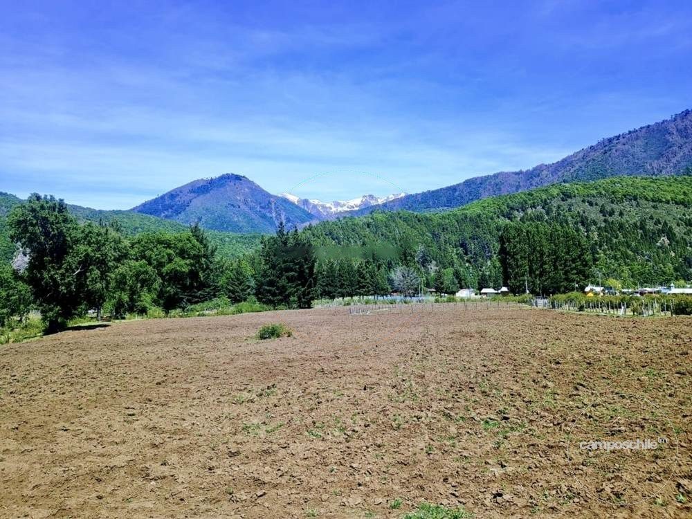 Campo en venta en Lonquimay — foto 6
