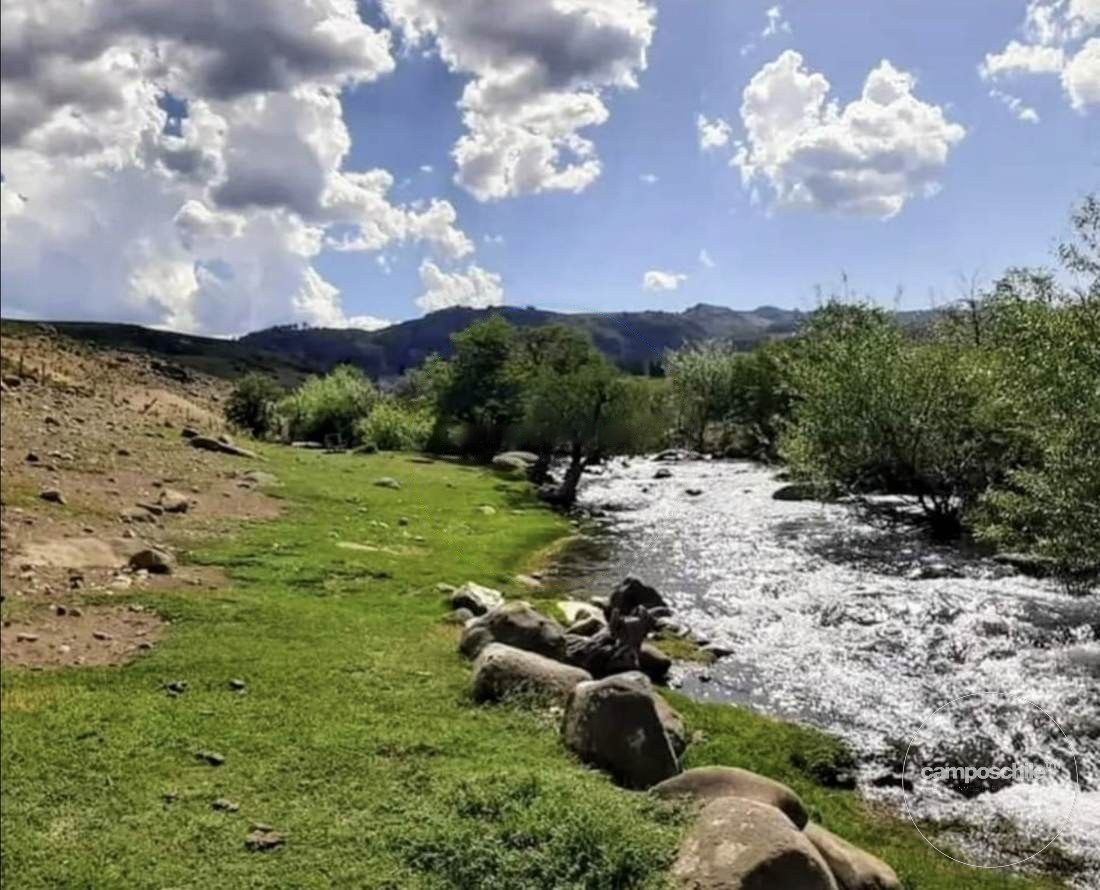Campo en venta en Lonquimay — foto 10