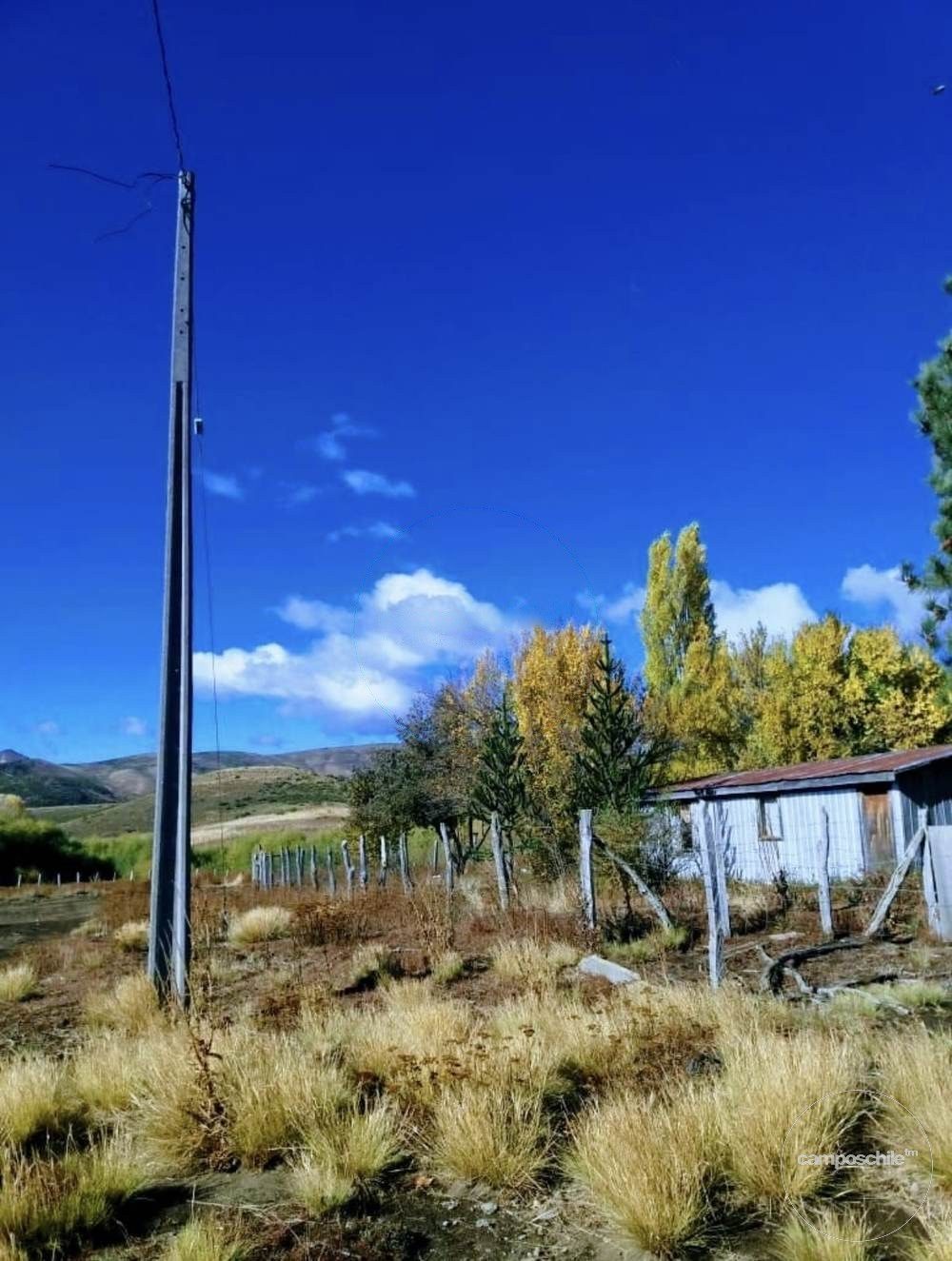 Parcela en venta en Lonquimay — foto 4