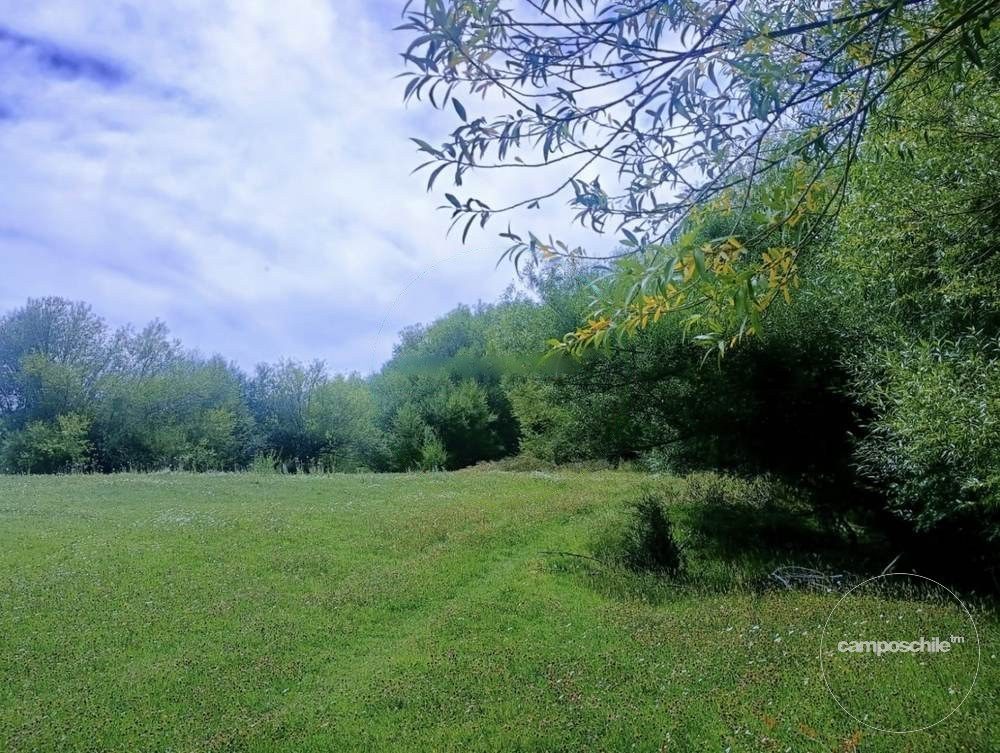 Parcela en venta en Lonquimay — foto 6