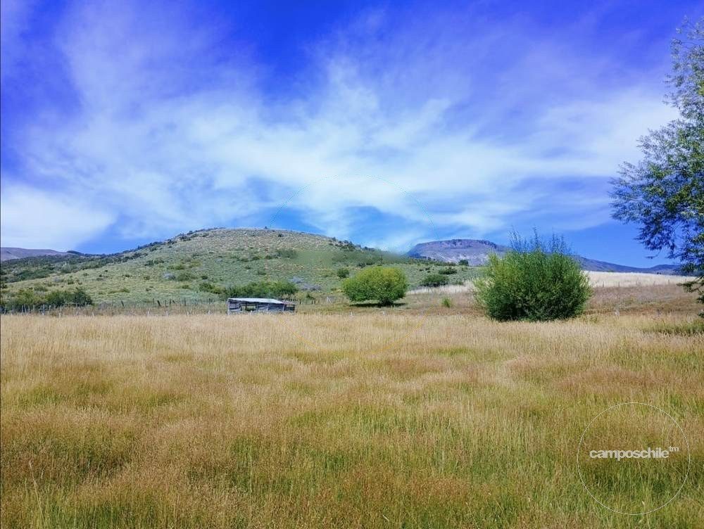 Parcela en venta en Lonquimay — foto 7