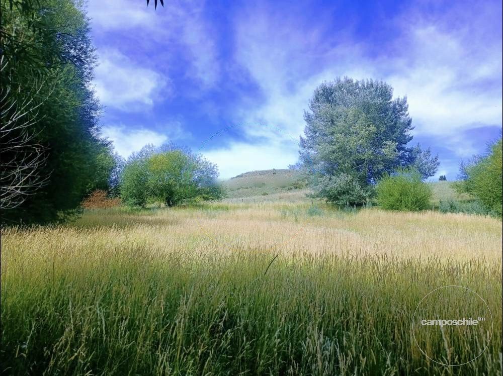 Parcela en venta en Lonquimay — foto 9