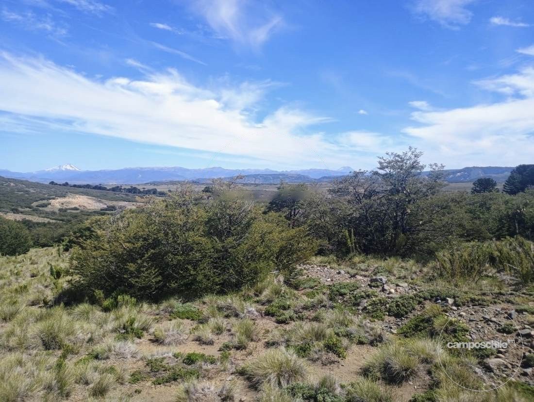 Campo en venta en Lonquimay — foto 7