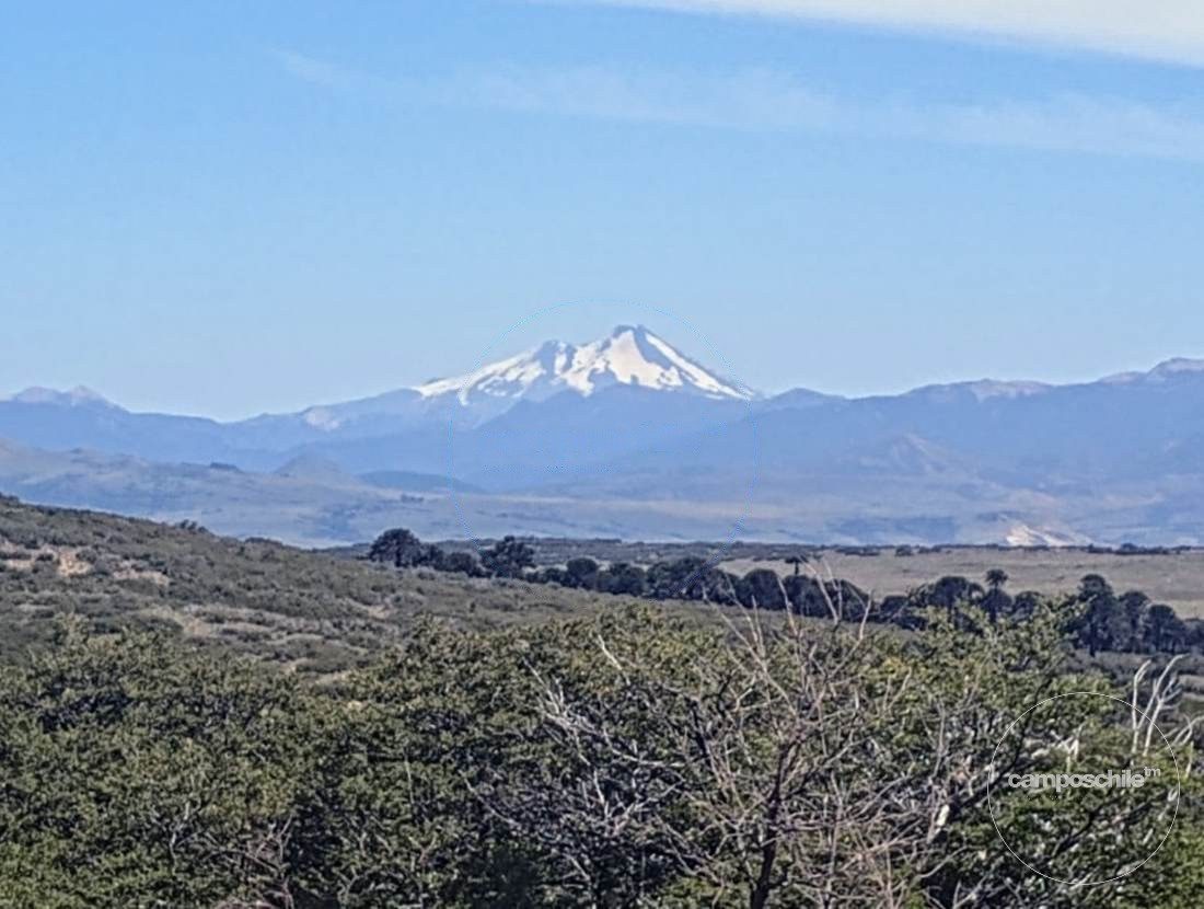 Campo en venta en Lonquimay — foto 8