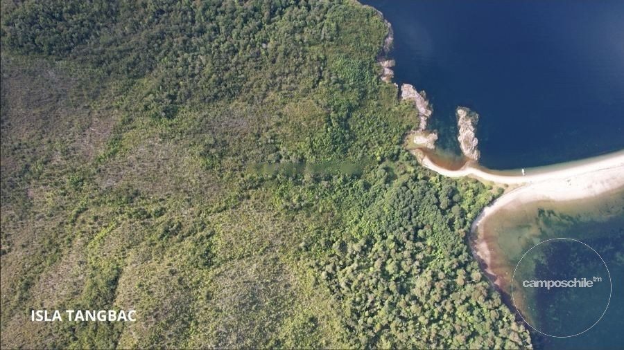 Campo en venta en Aysén — foto 4