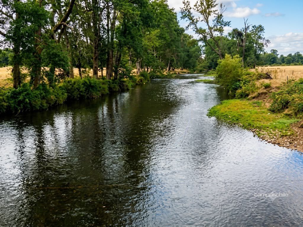 Campo en venta en Lanco — foto 4