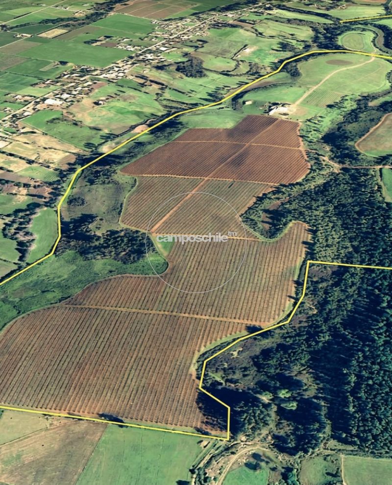 Campo en venta en San Clemente — foto 2