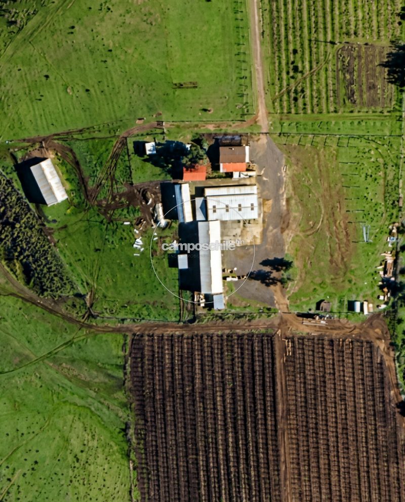 Campo en venta en San Clemente — foto 3