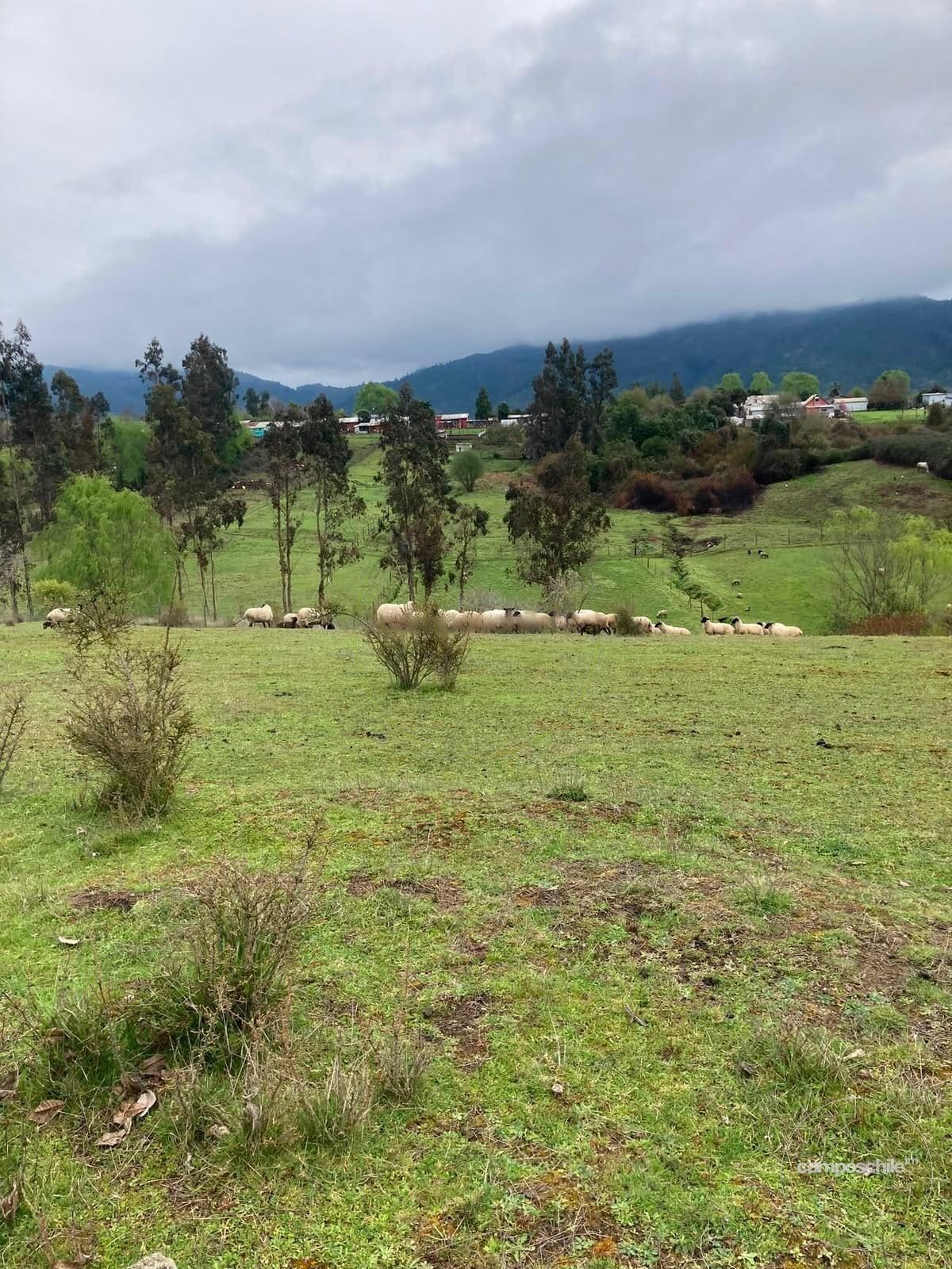 Campo en venta en San Clemente — foto 7
