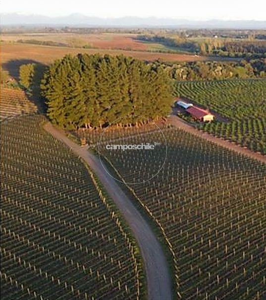 Campo en venta en Mulchén — foto 3
