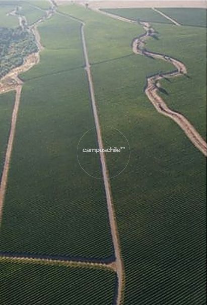 Campo en venta en Mulchén — foto 4