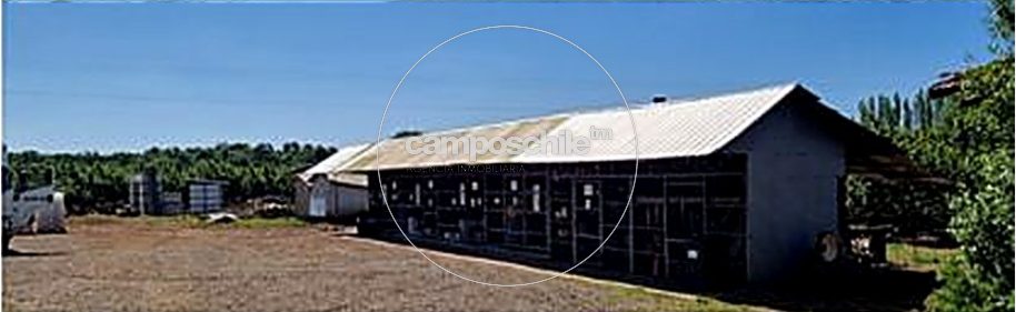 Campo en venta en Mulchén — foto 9