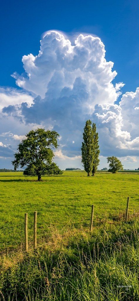 Campo en venta en Frutillar — foto 4