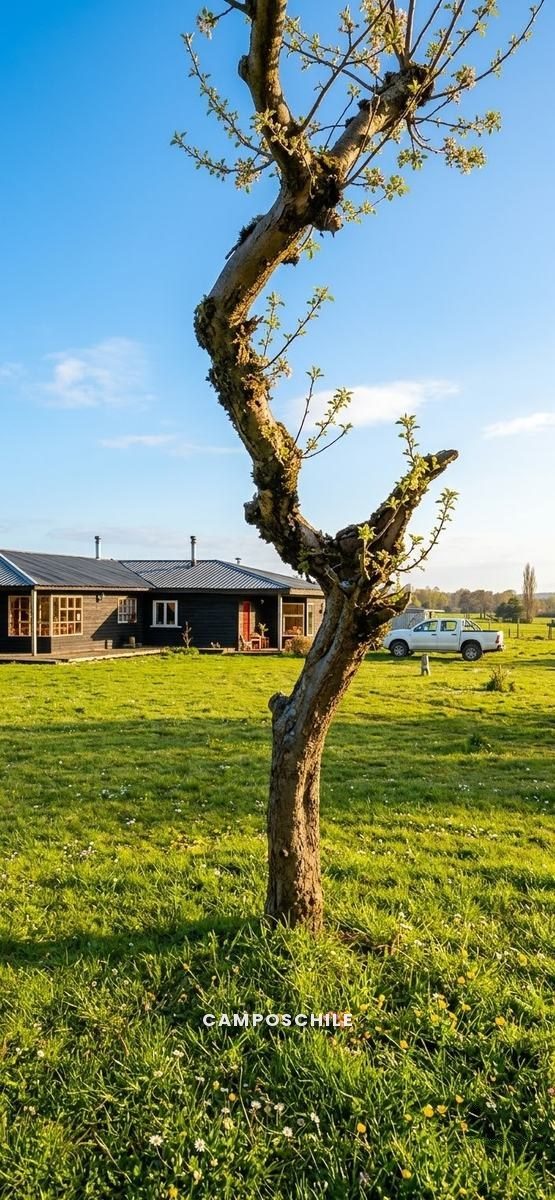 Campo en venta en Puerto Montt — foto 3