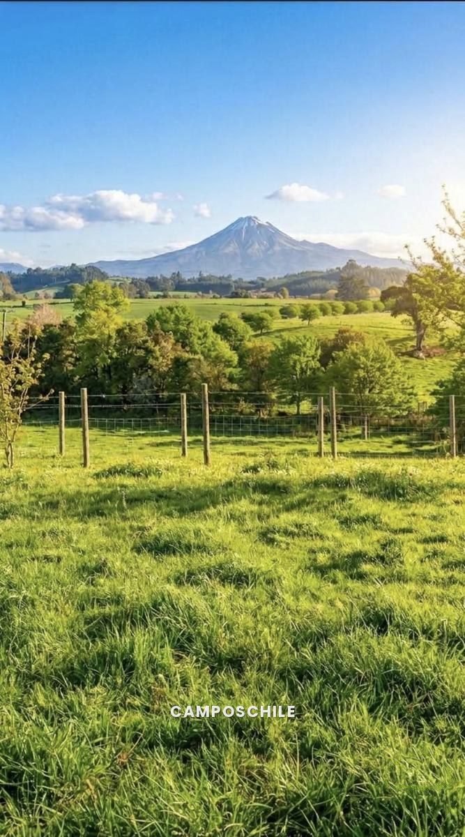 Campo en venta en Puerto Montt — foto 5
