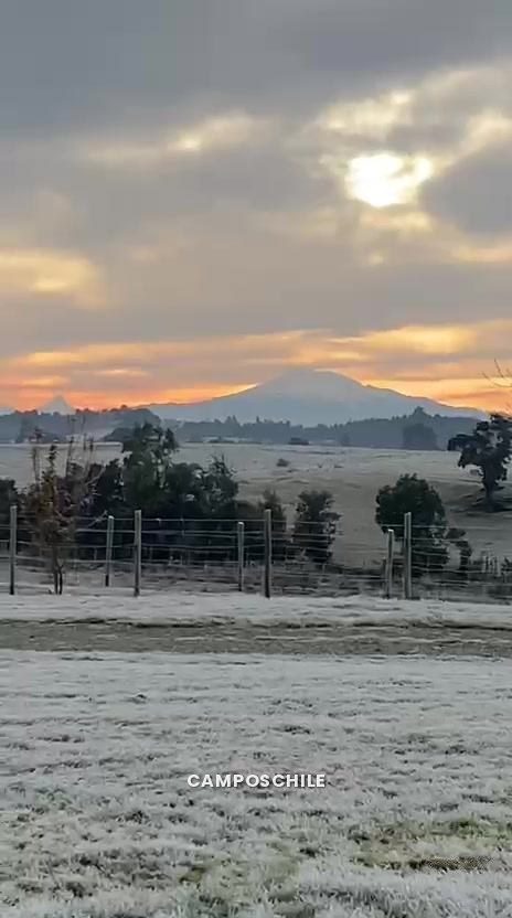 Campo en venta en Puerto Montt — foto 7