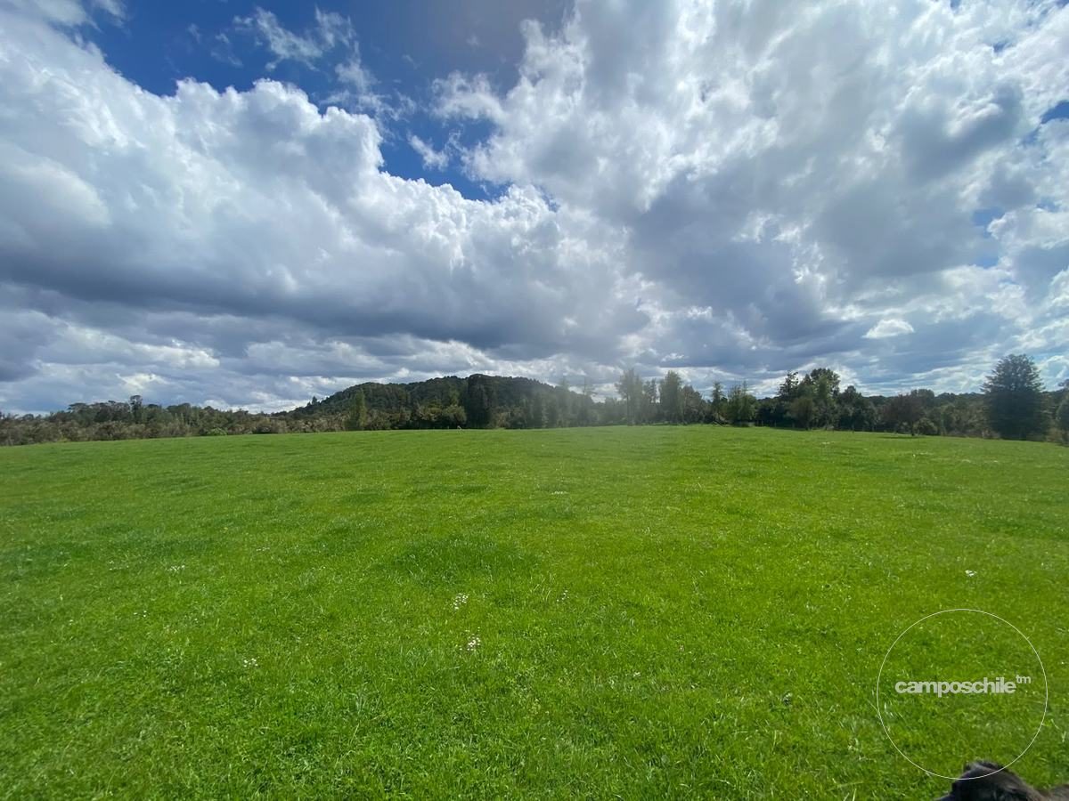 Campo en venta en Puerto Montt — foto 8