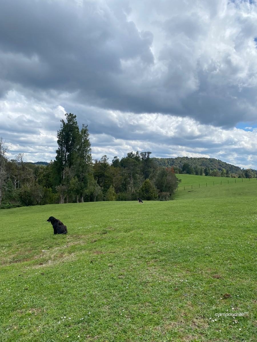 Campo en venta en Puerto Montt — foto 9