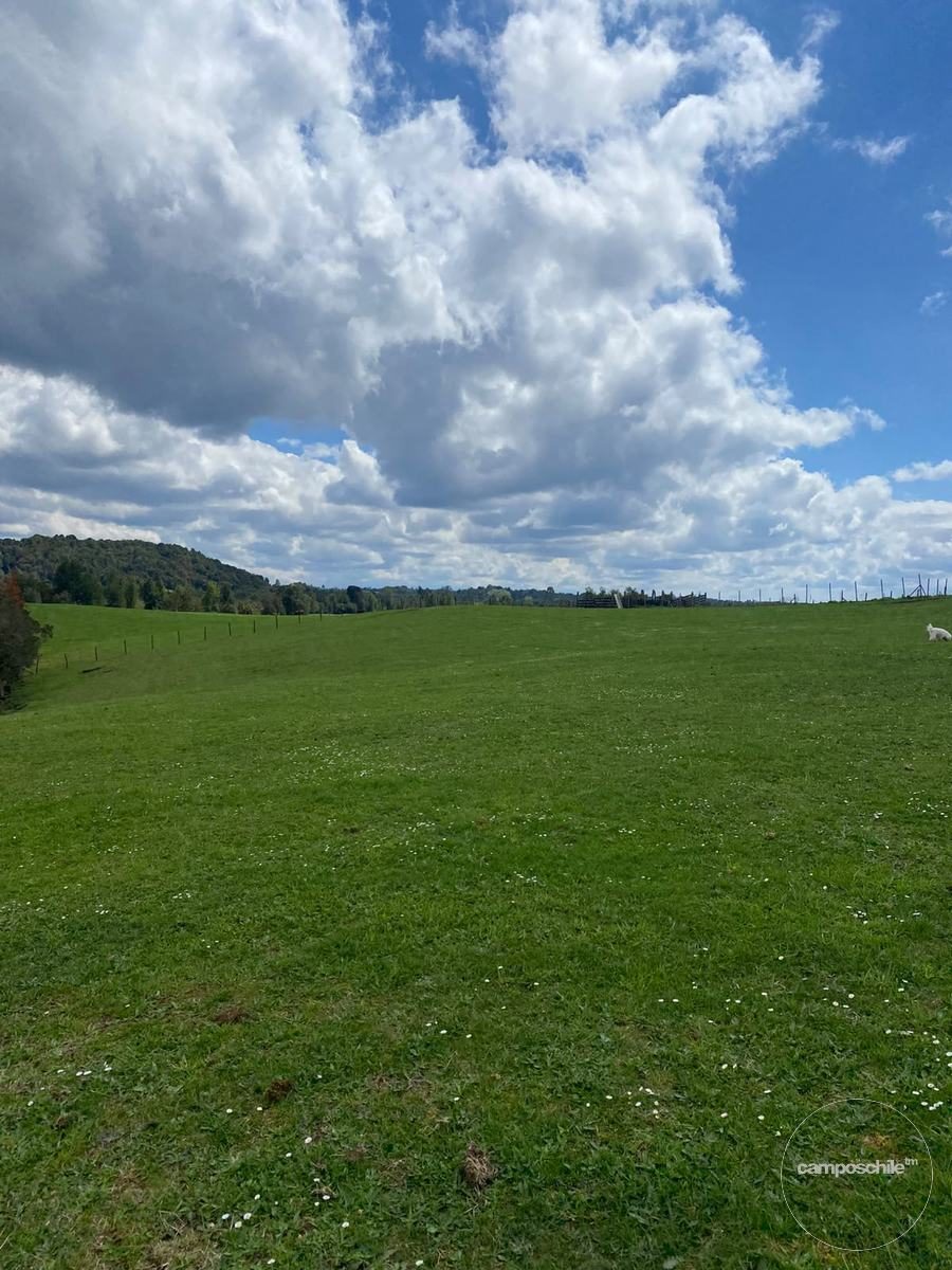 Campo en venta en Puerto Montt — foto 10