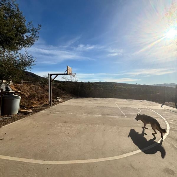 Casa en venta en Villa Alemana — foto 8