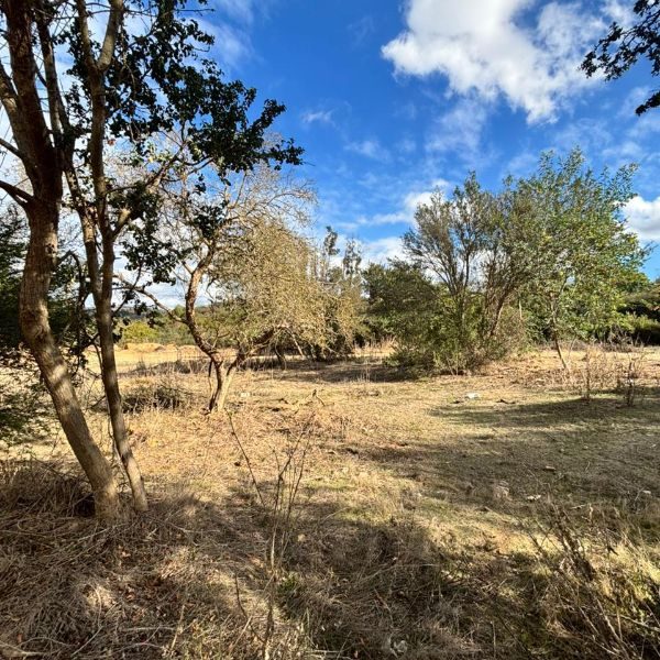 Terreno en arriendo en Quilpué — foto 4