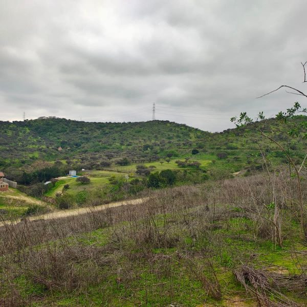 Parcela en venta en Limache — foto 6