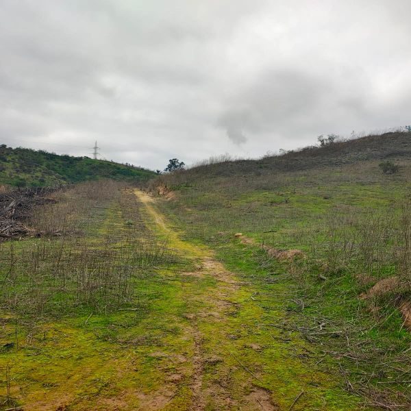 Parcela en venta en Limache — foto 7