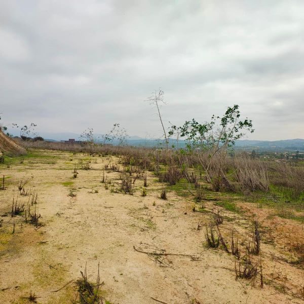 Parcela en venta en Limache — foto 9
