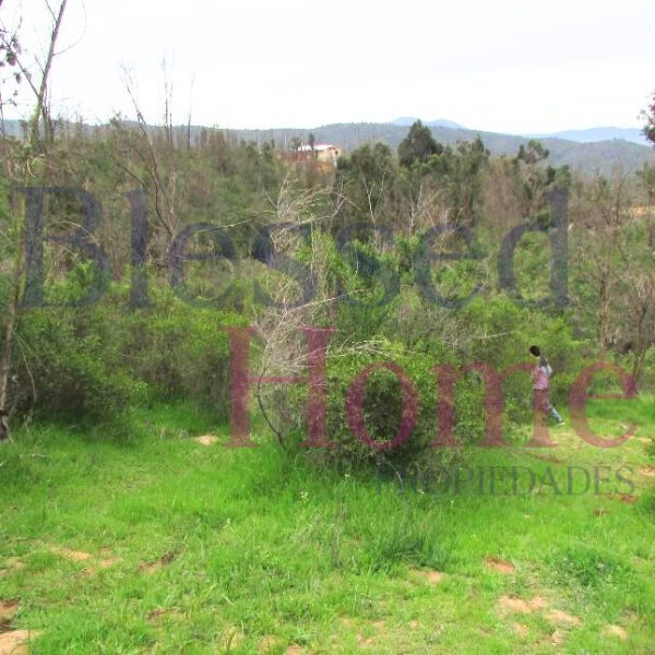 Parcela en venta en Quilpué — foto 2
