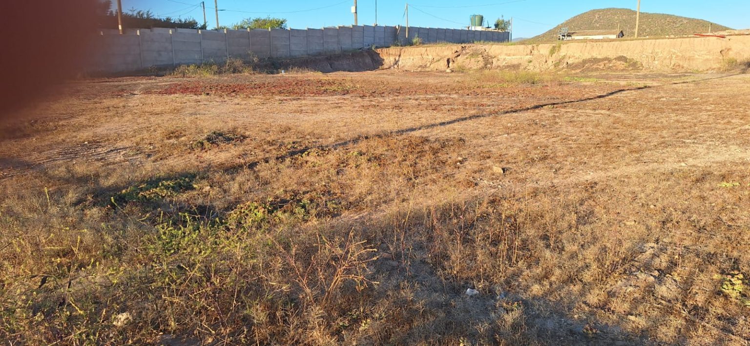 Bodega en arriendo en Coquimbo — foto 6