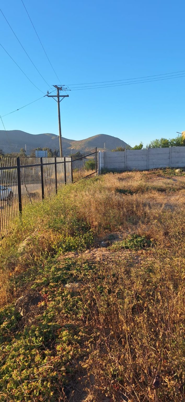 Bodega en arriendo en Coquimbo — foto 10