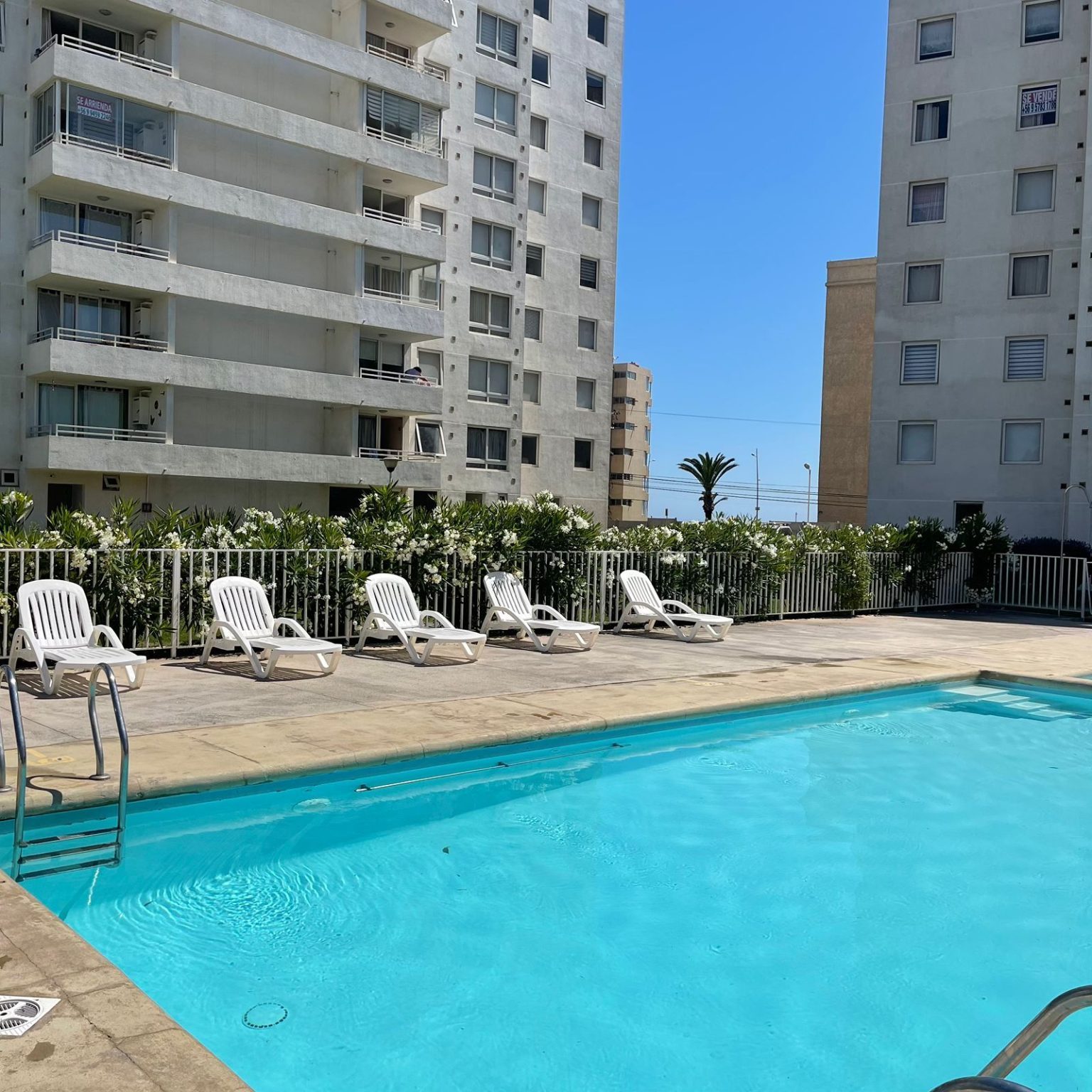 Departamento en arriendo en La Serena — foto 5