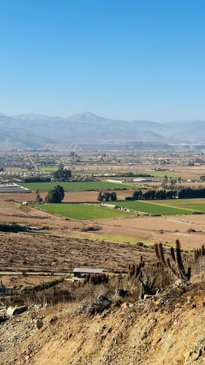 Parcela en venta en La Serena — foto 9